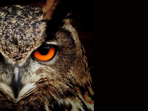 固定観念が強いと視野が狭くなる！幸せも逃す