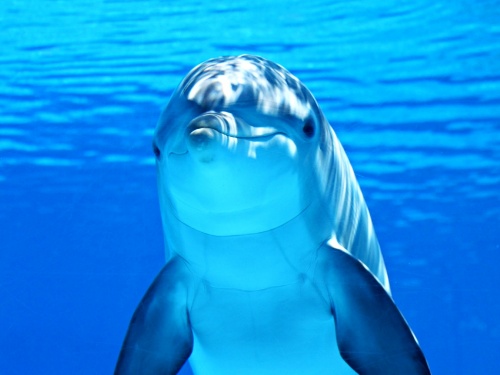 セルフイメージを変える方法【3選】セルフイメージが全てといっても過言ではない