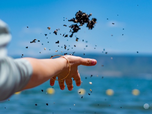 願いが叶う前に起こる好転反応5選