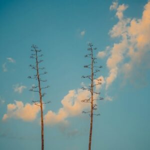 【40代】魂が震える！あなたに与えられた「本当の使命」に気づく方法